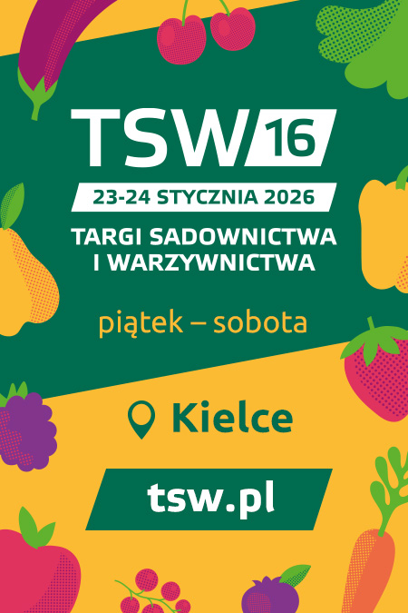 Plakat TSW
