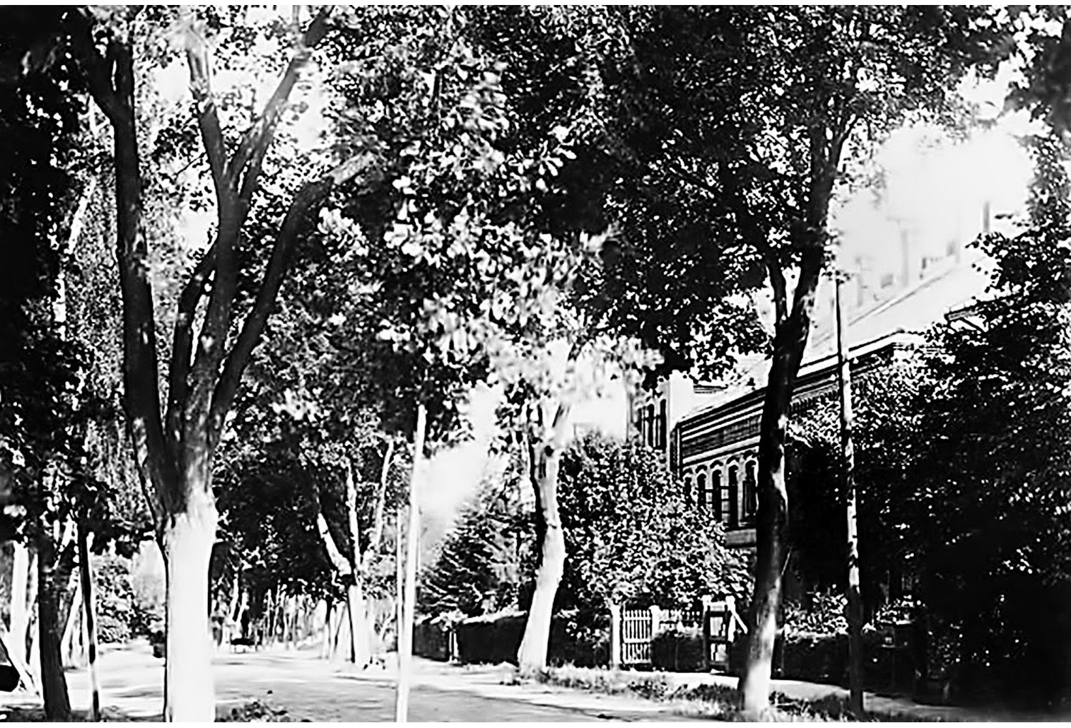 Zdjęcie starej Ornety