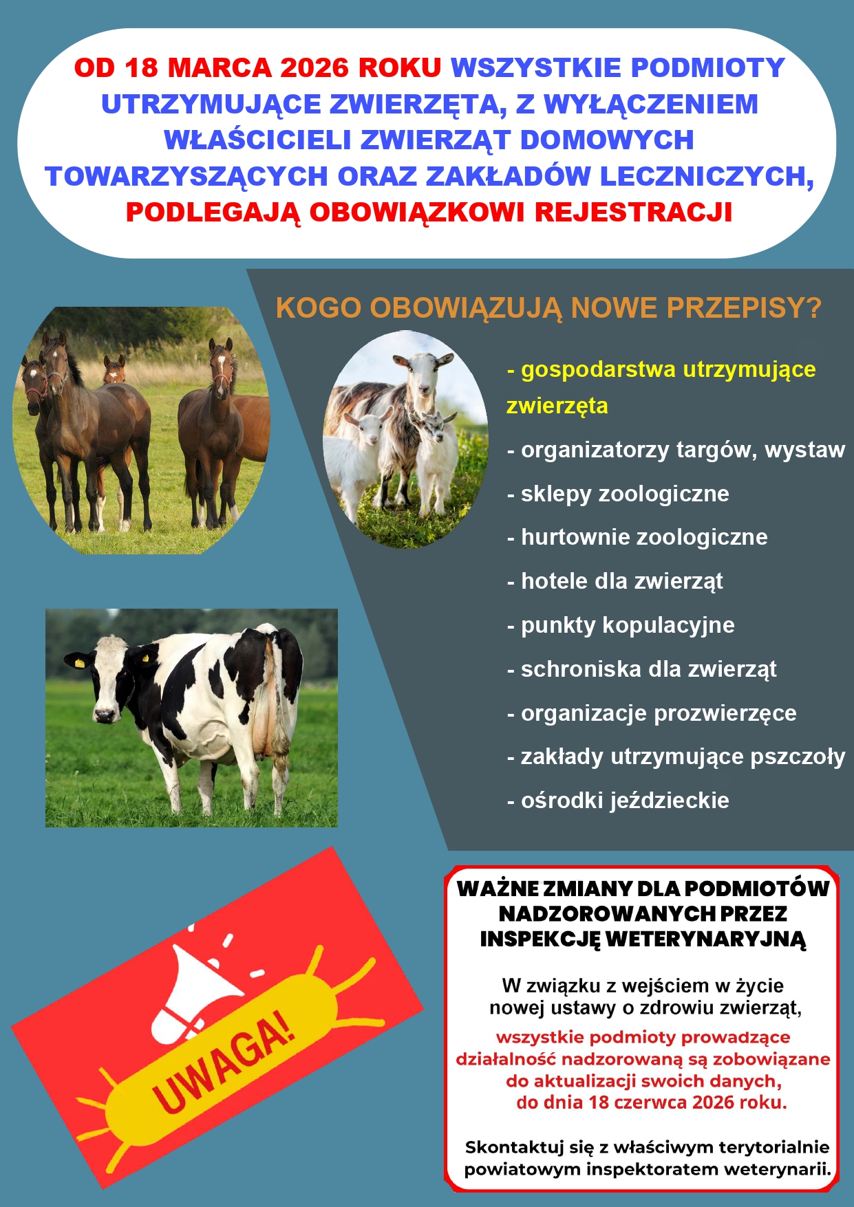 Ulotka informacyjna